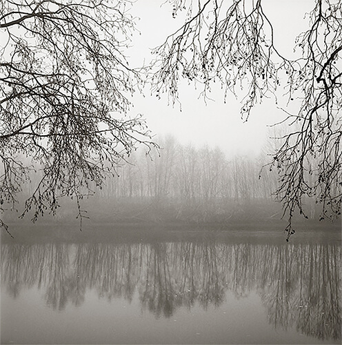 Trees by water, Nykarleby, Finland 1992<p>© Kristoffer Albrecht</p>