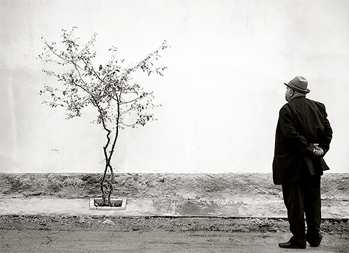 Man and tree, Kukes, Albania 2012<p>© Kristoffer Albrecht</p>