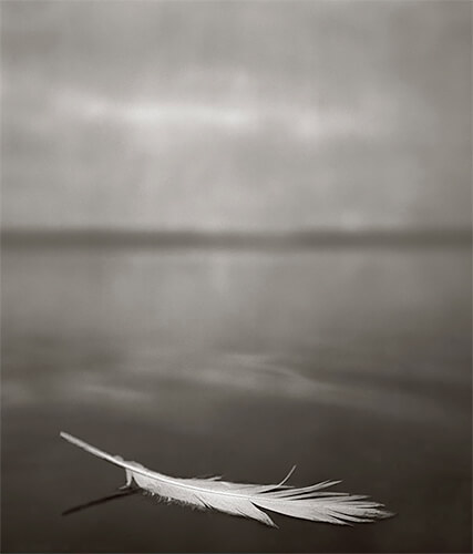 Feather on Water, 2007<p>© Kristoffer Albrecht</p>