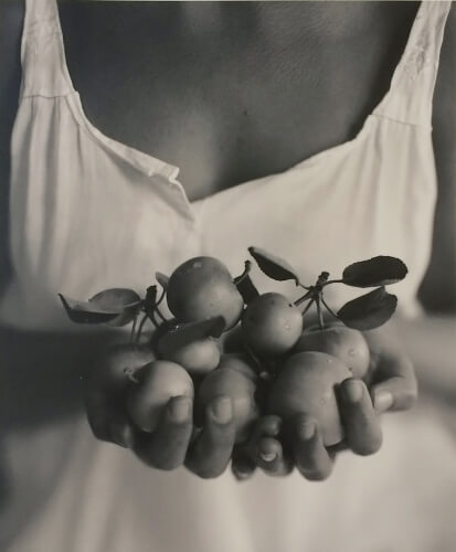 Small Apples 1984<p>© Kristoffer Albrecht</p>