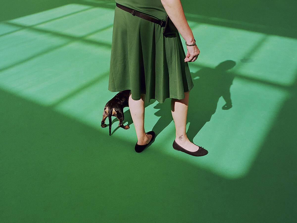 Dog Shows<p>© Martin Andersen</p>