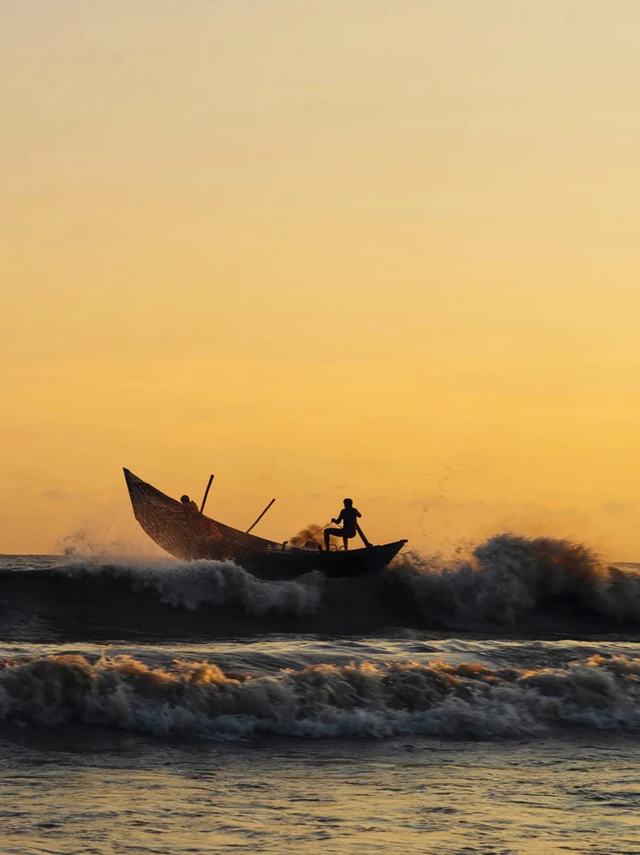 <p>&copy; Md. Arifuzzaman</p>