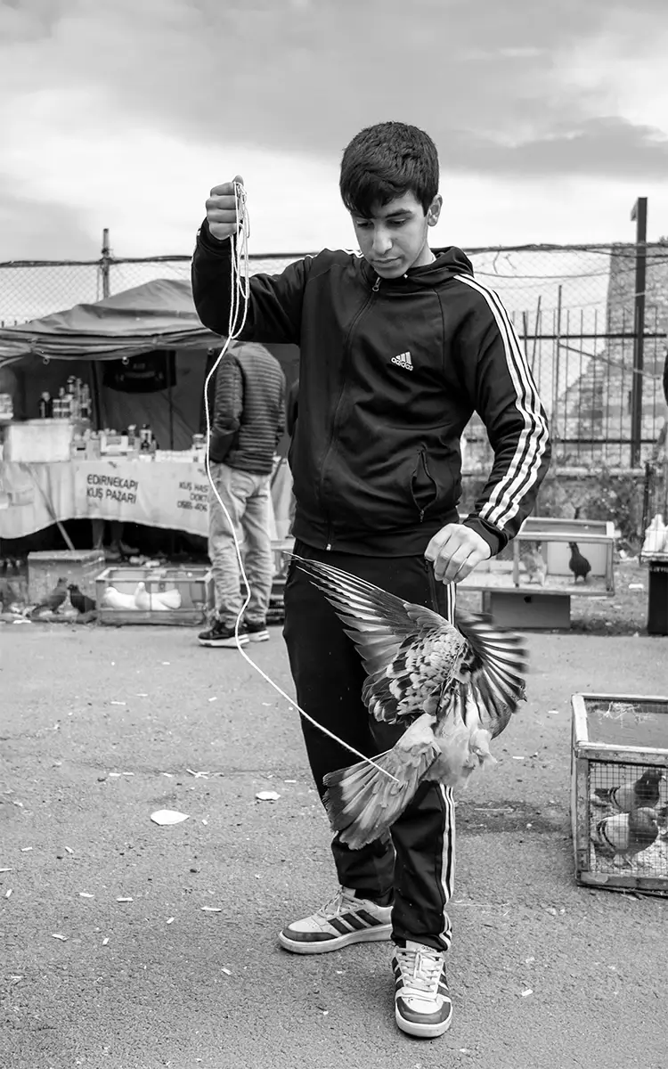 <p>© Nihal Araptarlı</p>