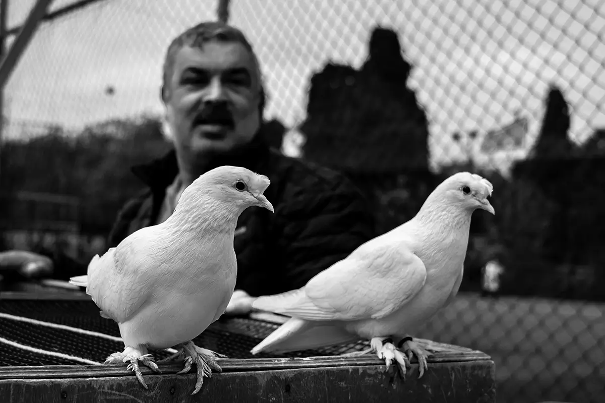 <p>© Nihal Araptarlı</p>