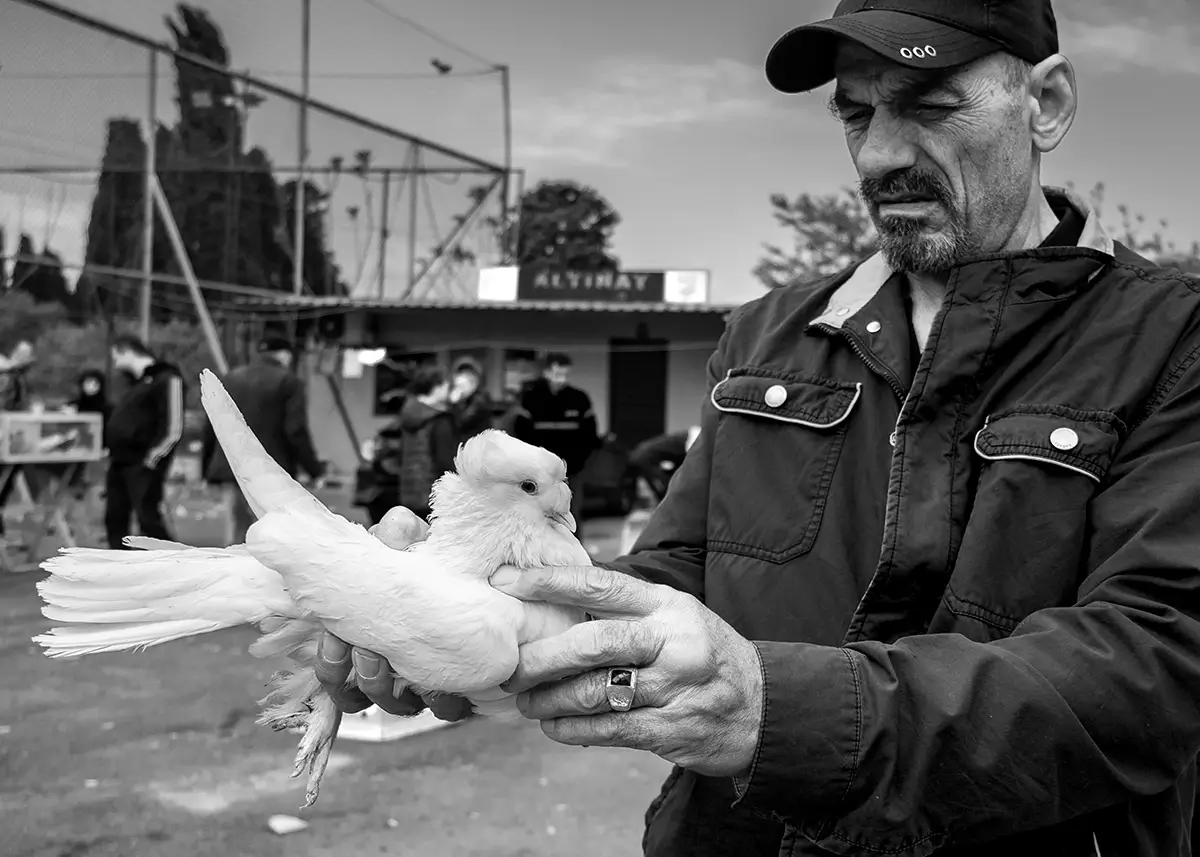 <p>© Nihal Araptarlı</p>