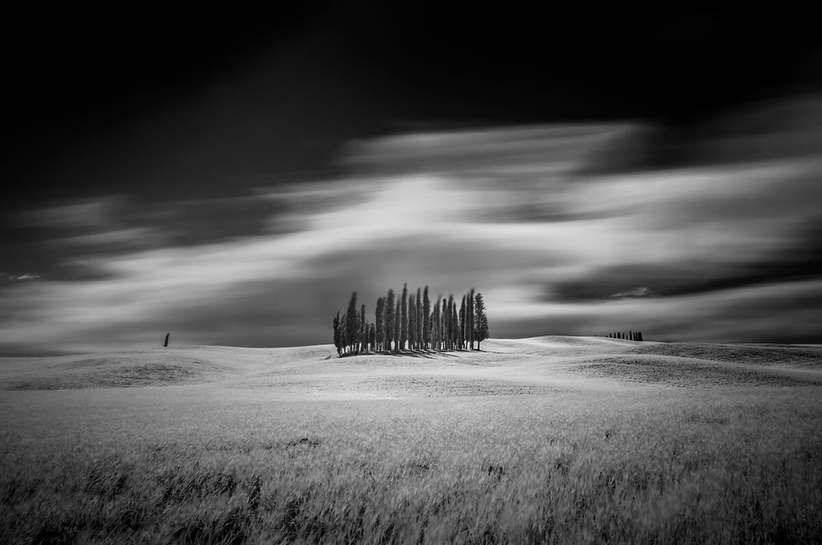 Cypress Hill Val d’Orcia Italy<p>© Paolo Ameli</p>