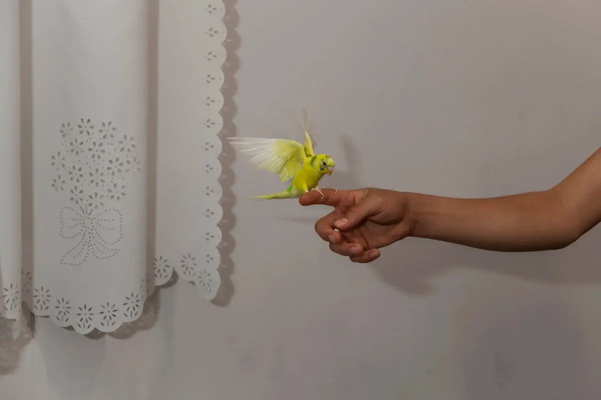 Ordinary Grief<p>© Parisa Azadi</p>