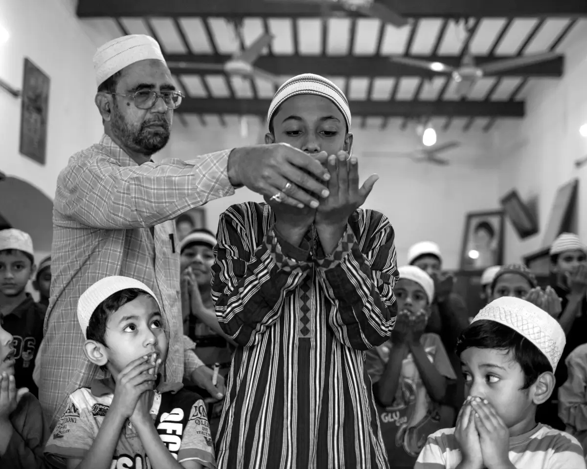 Birds Are Pilgrims, Too<p>© Parisa Azadi</p>