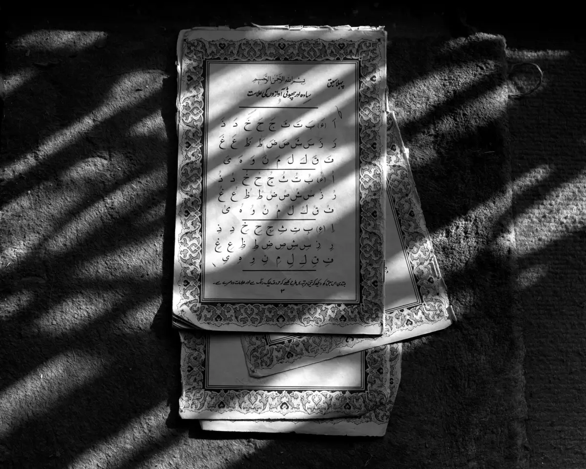 Birds Are Pilgrims, Too<p>© Parisa Azadi</p>
