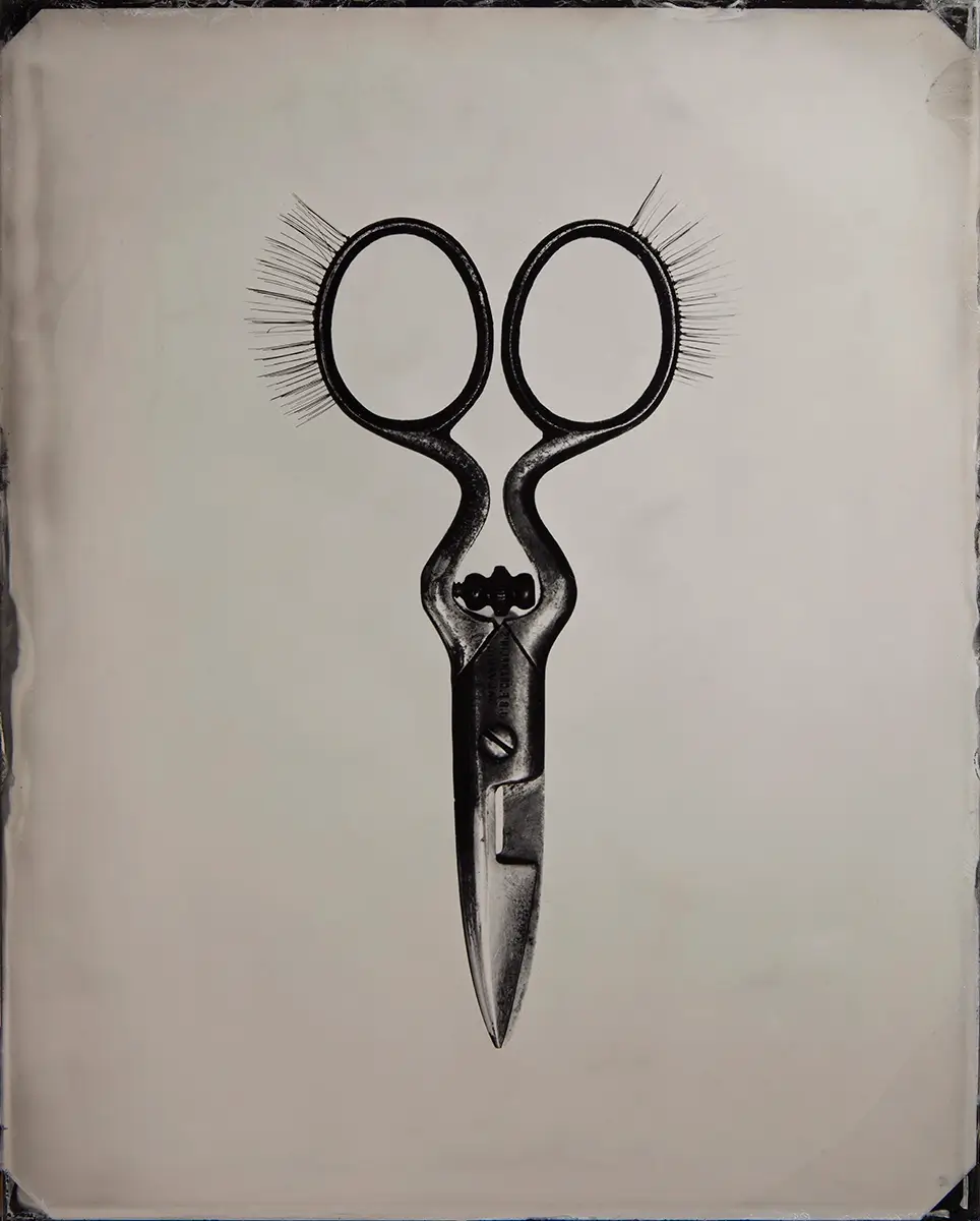 Scissors<p>© Paul Adams</p>