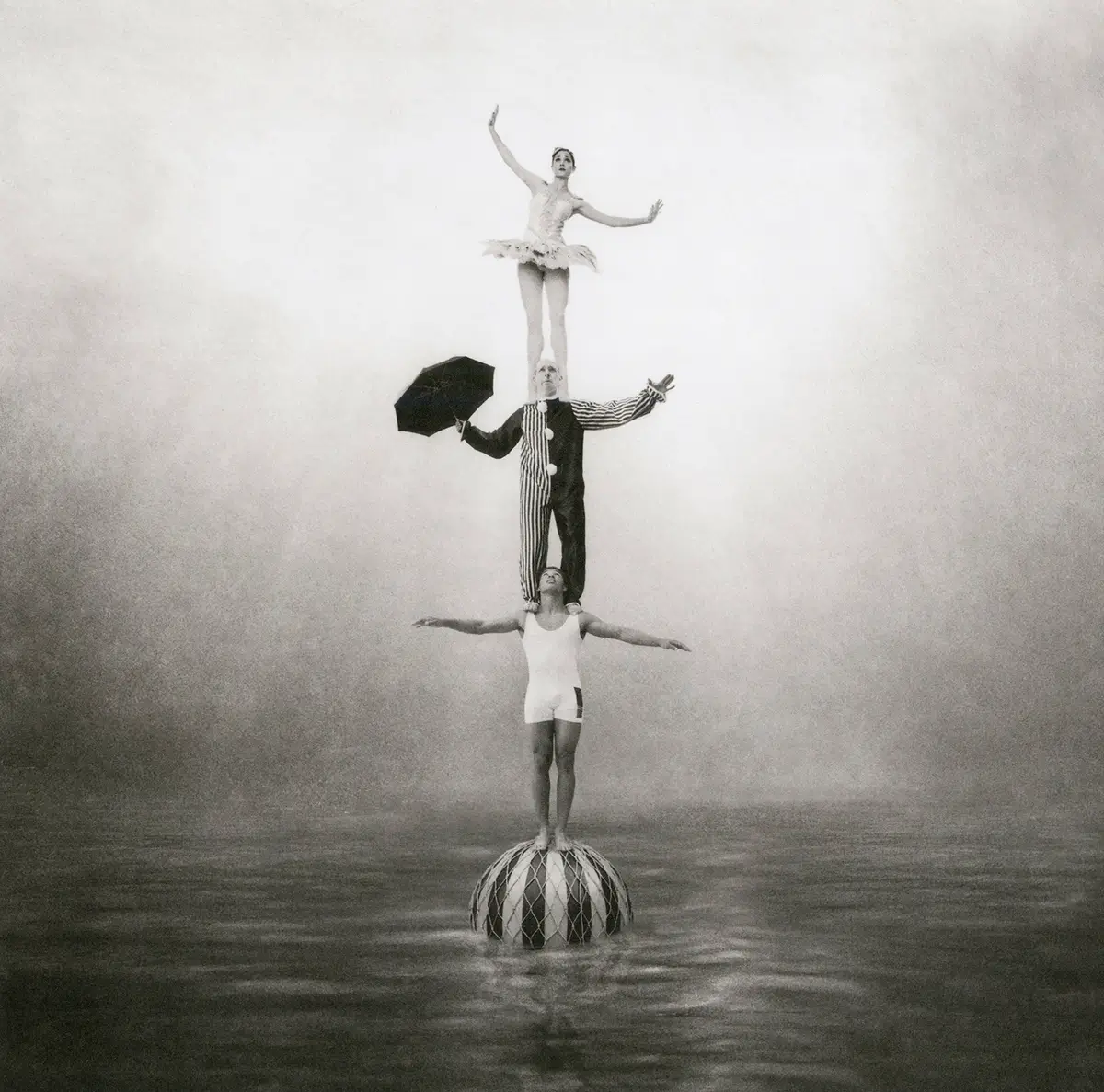 Sugar Plum Fairy Has No Wings<p>© Paul Adams</p>
