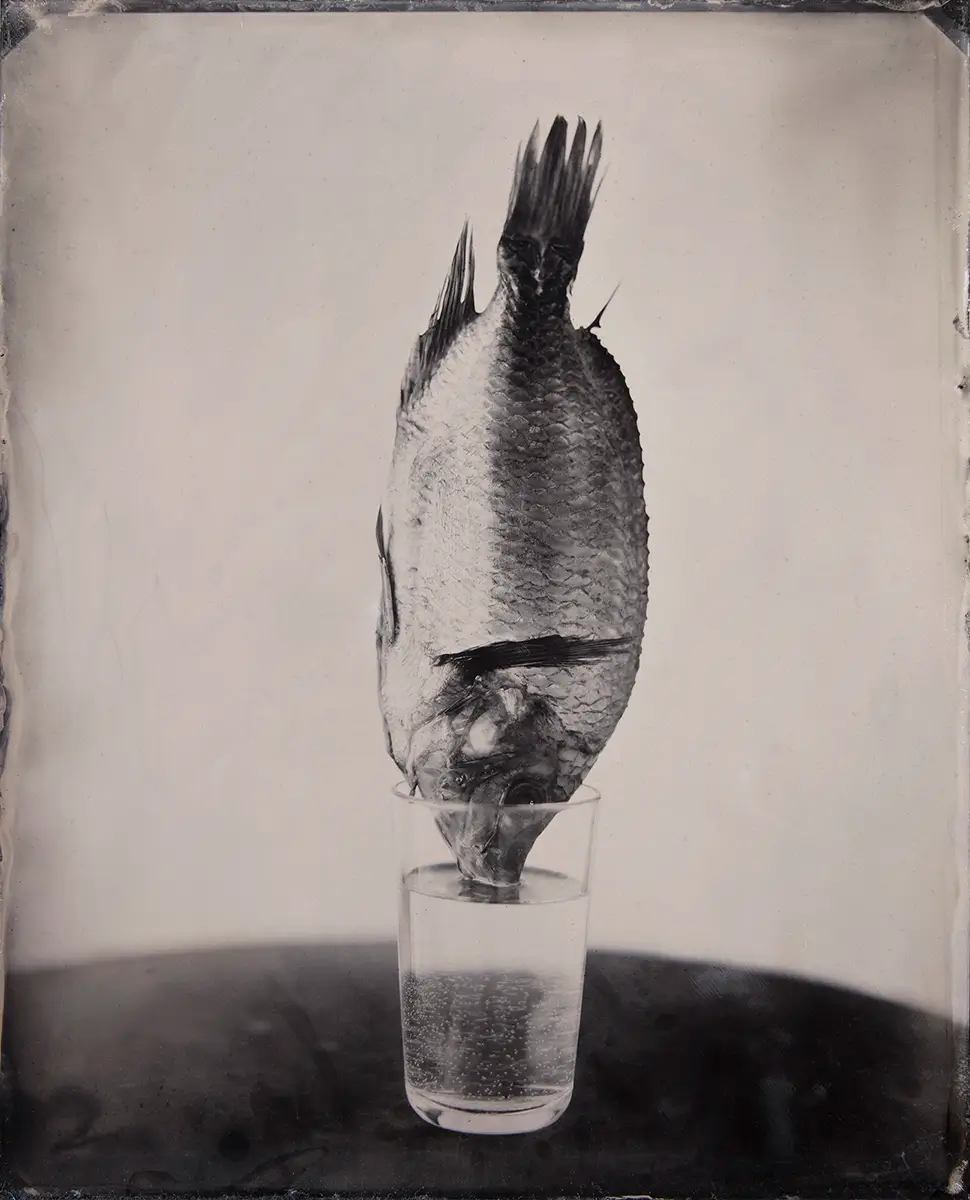 Just Breath<p>© Paul Adams</p>