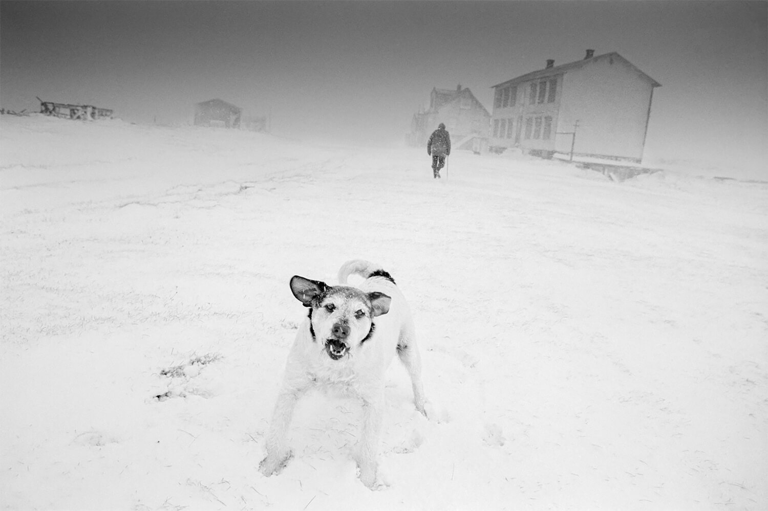 Faces of the North<p>© Ragnar Axelsson</p>