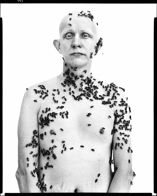 Ronald Fischer, beekeeper, Davis, California, May 9, 1981<p>Courtesy The Richard Avedon Foundation / © Richard Avedon</p>