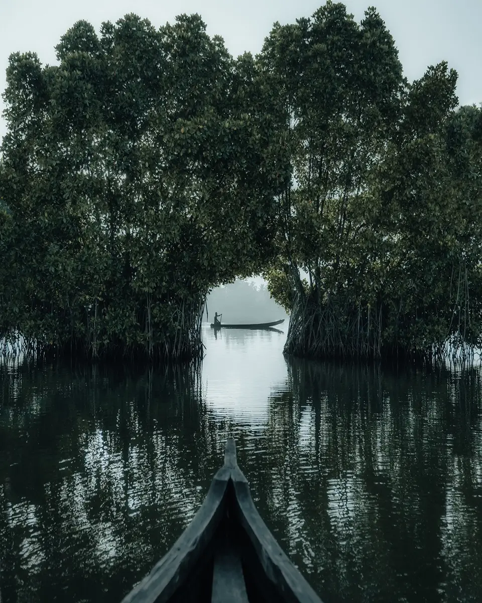 Munroe<p>© Savadmon Avalachamveettil</p>