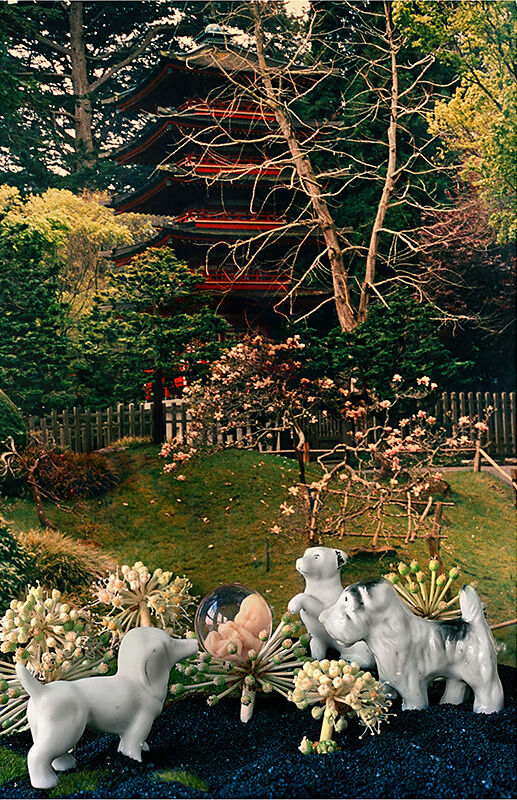 Japanese Tea Garden<p>© Stephen Albair</p>