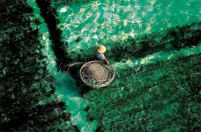 <p>© Yann Arthus-Bertrand</p>