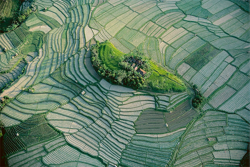 <p>© Yann Arthus-Bertrand</p>