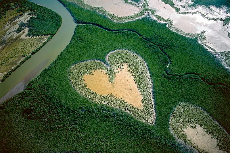 <p>© Yann Arthus-Bertrand</p>