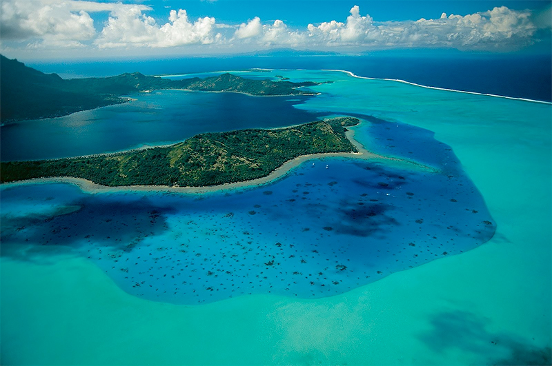 <p>© Yann Arthus-Bertrand</p>
