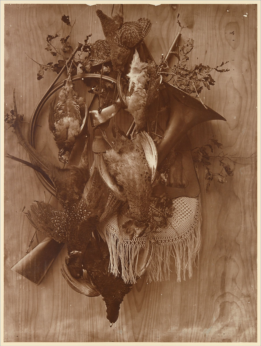 Pheasant and Grouse, circa 1865 - Gift of E. S. Herrmann, 1947, Metropolitan Museum of Art<p>© Adolphe Braun</p>