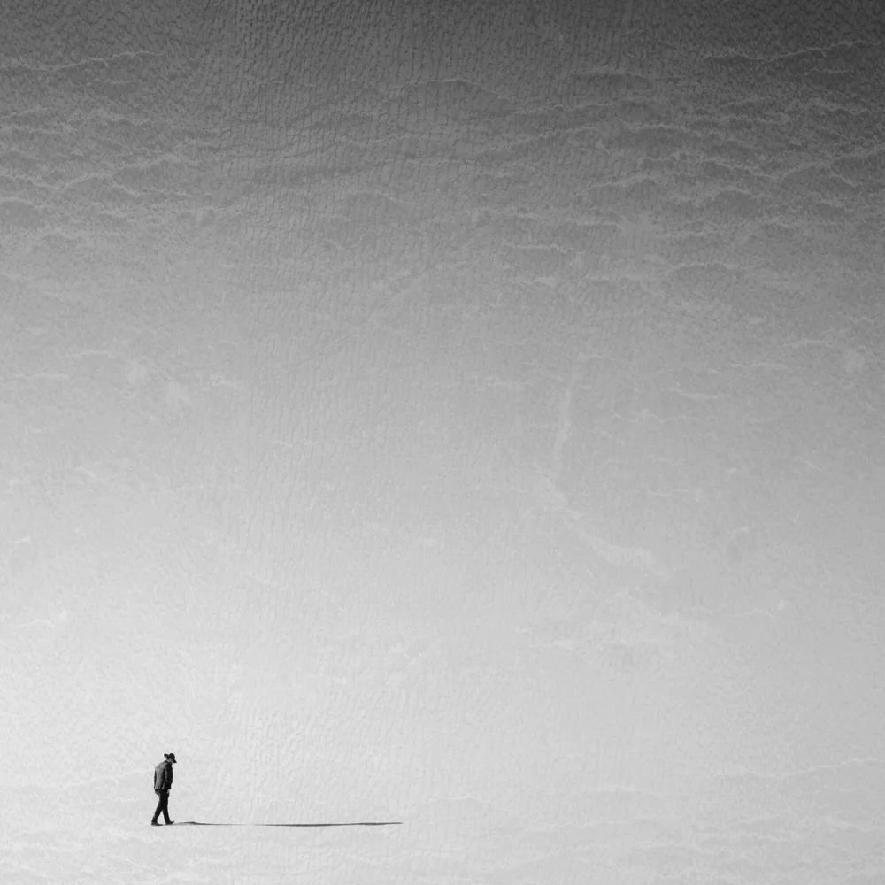 <p>© Alireza Bagheri Sani</p>