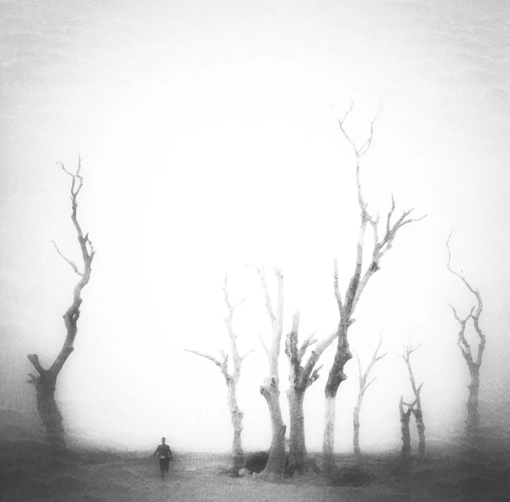 <p>© Alireza Bagheri Sani</p>
