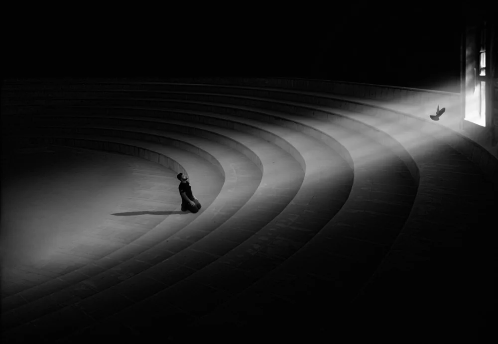 <p>© Alireza Bagheri Sani</p>