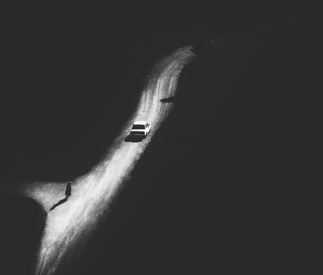 <p>© Alireza Bagheri Sani</p>