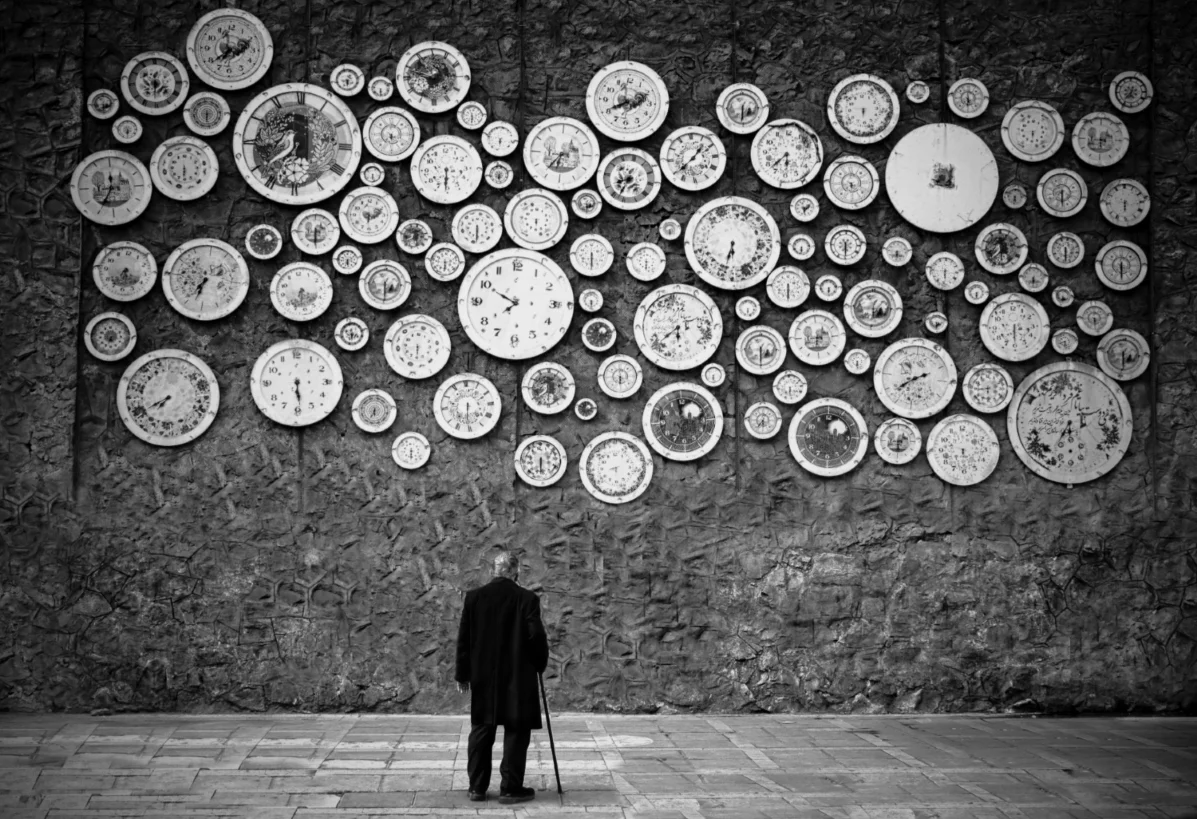 <p>© Alireza Bagheri Sani</p>