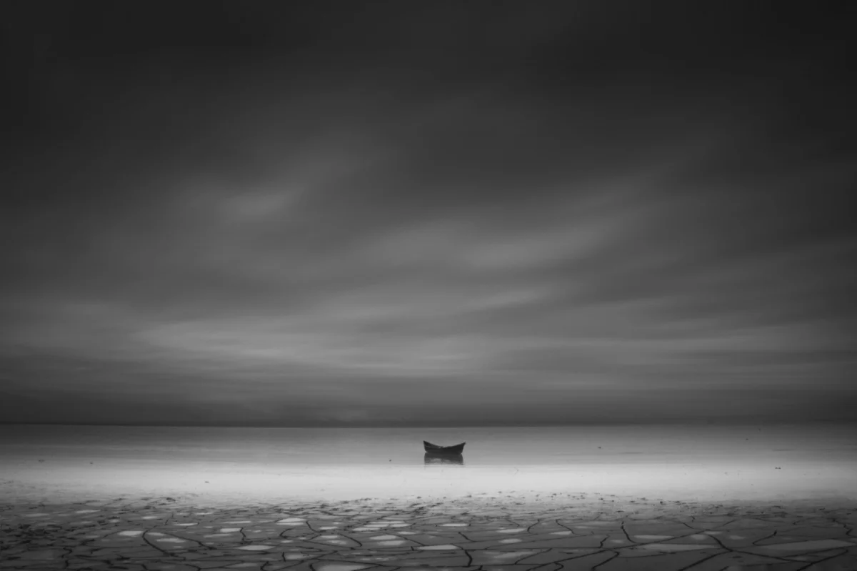 <p>© Alireza Bagheri Sani</p>