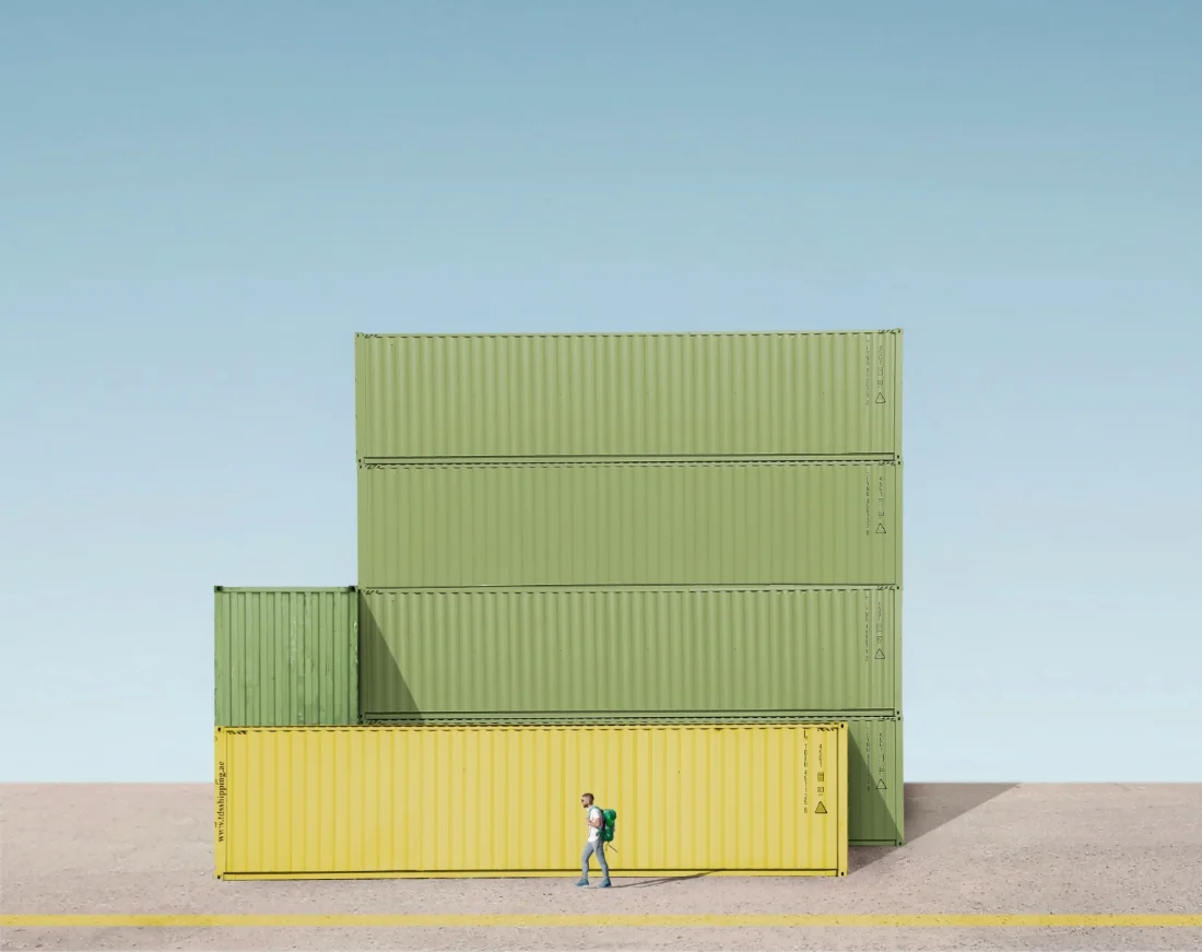 <p>© Alireza Bagheri Sani</p>
