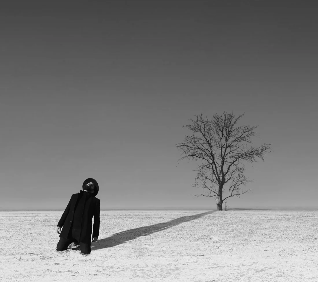 <p>© Alireza Bagheri Sani</p>