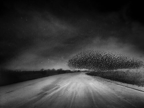 A page of flace<p>© Angela Bacon-Kidwell</p>