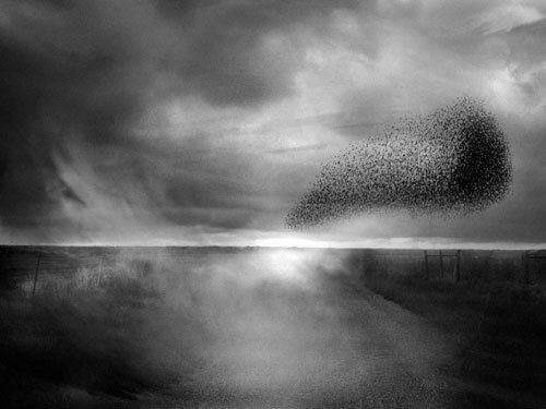 A wave in the air<p>© Angela Bacon-Kidwell</p>