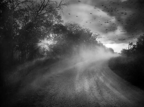 Chasing hop<p>© Angela Bacon-Kidwell</p>