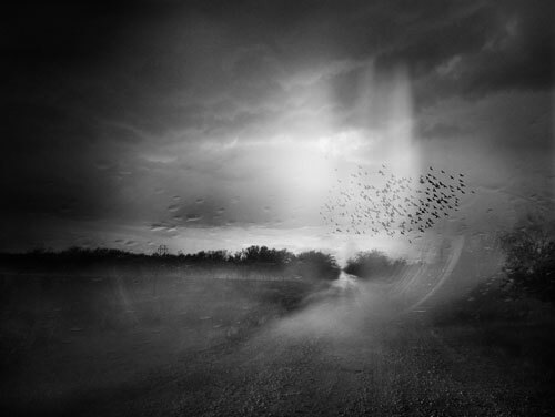 This is the air breathe<p>© Angela Bacon-Kidwell</p>