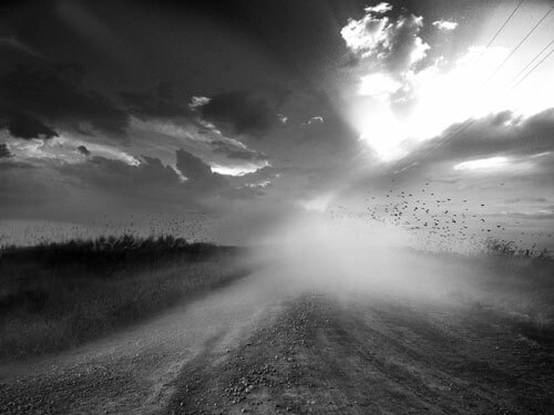 Drifting Grey<p>© Angela Bacon-Kidwell</p>