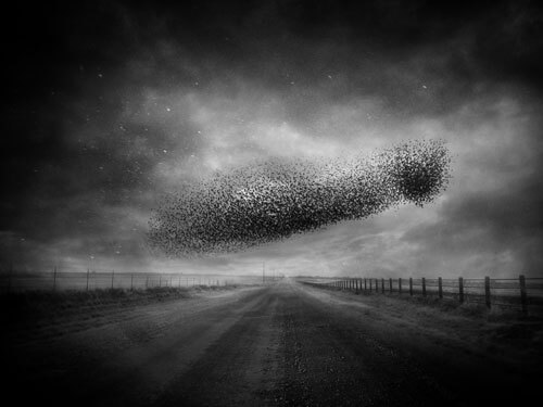 Late December<p>© Angela Bacon-Kidwell</p>