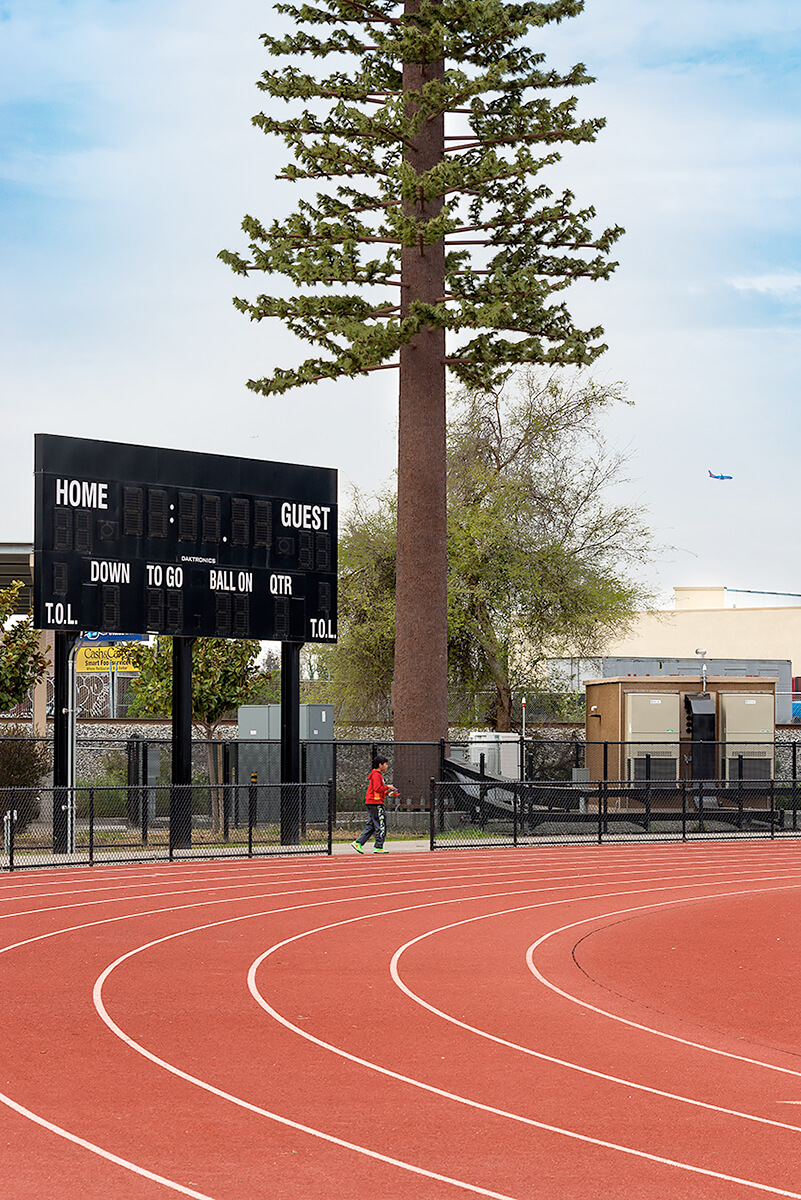 Fauxliage: High School Track, Hayward, CA<p>© Annette LeMay Burke</p>