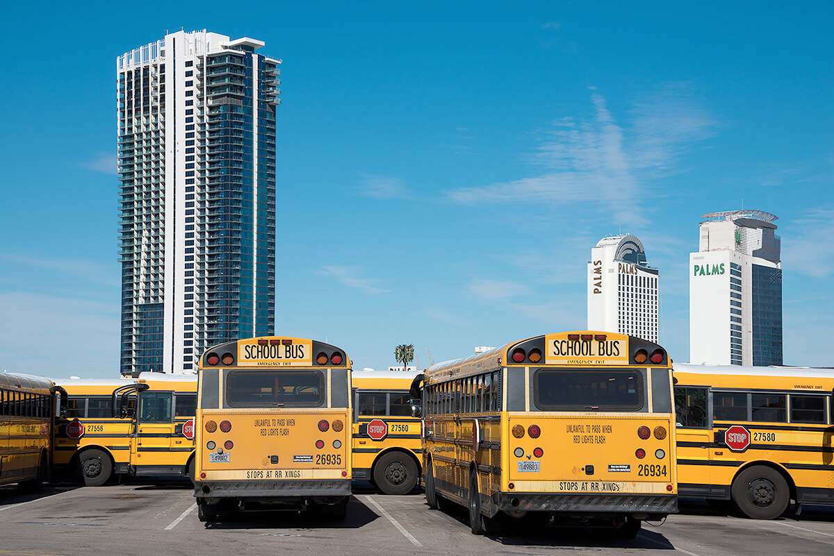 Fauxliage: Between the Buses, Las Vegas, NV<p>© Annette LeMay Burke</p>