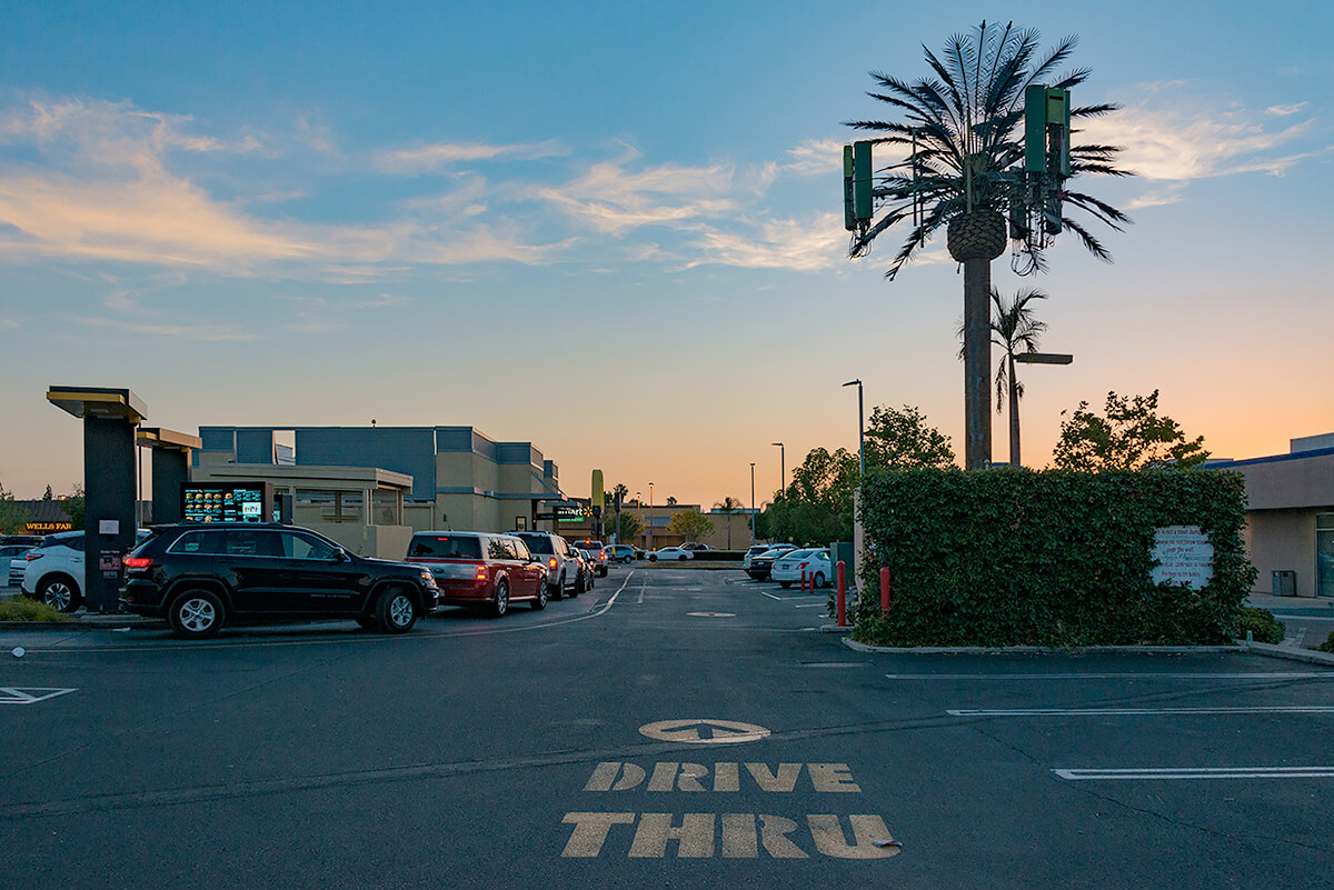 Fauxliage: Drive Thru, La Mesa, CA<p>© Annette LeMay Burke</p>