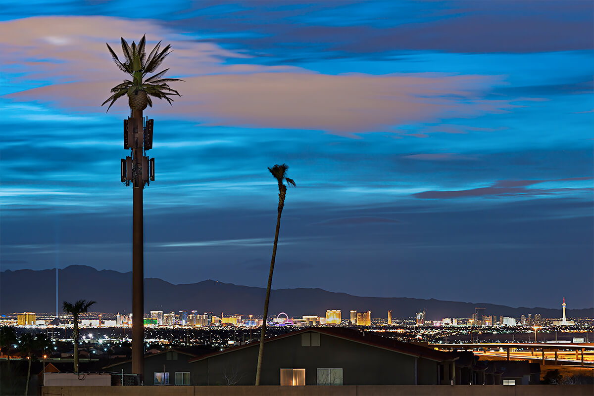 Fauxliage: Vegas Strip, Henderson, NV<p>© Annette LeMay Burke</p>