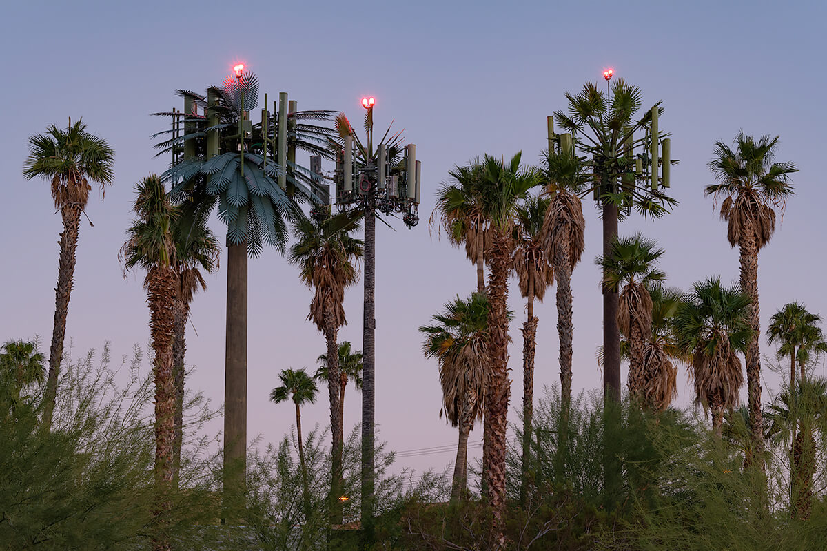 Fauxliage: Airport Approach, Palm Springs, CA<p>© Annette LeMay Burke</p>