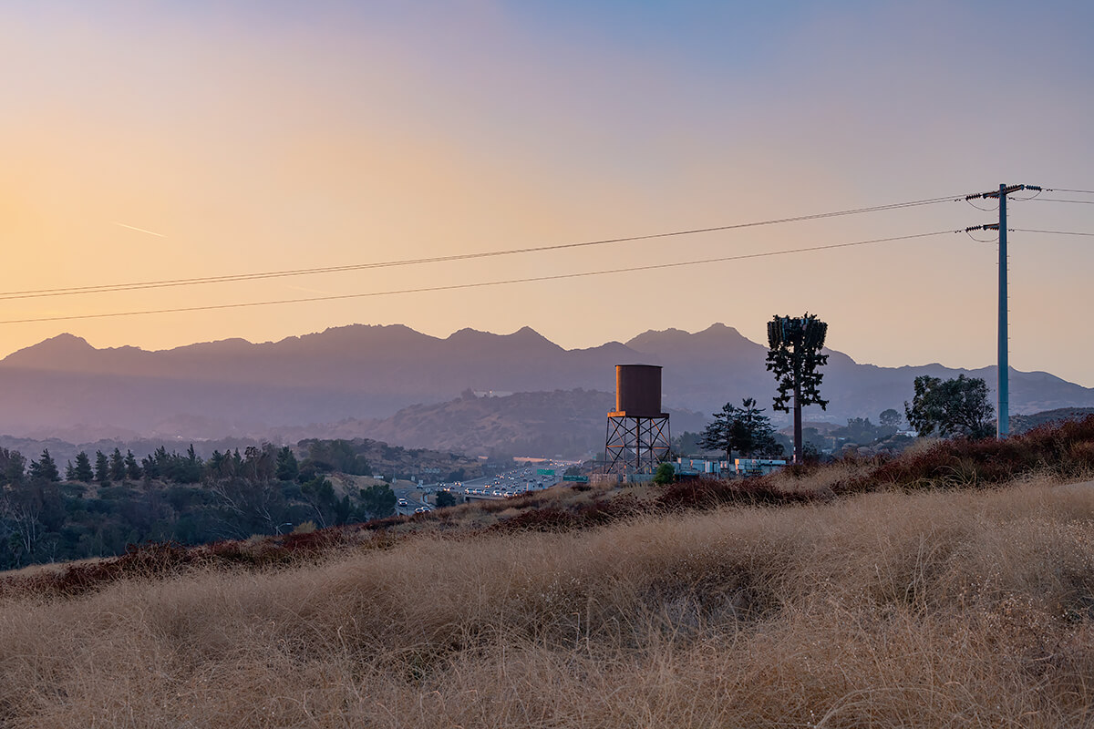 Fauxliage: Smoket Sunset, Chatsworth, CA<p>© Annette LeMay Burke</p>