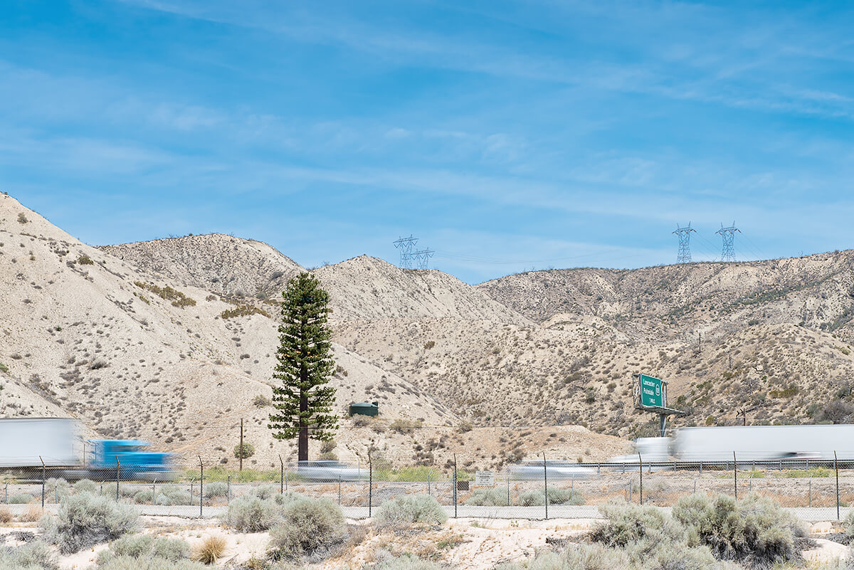 Fauxliage: The Grapevine, Gorman, CA<p>© Annette LeMay Burke</p>