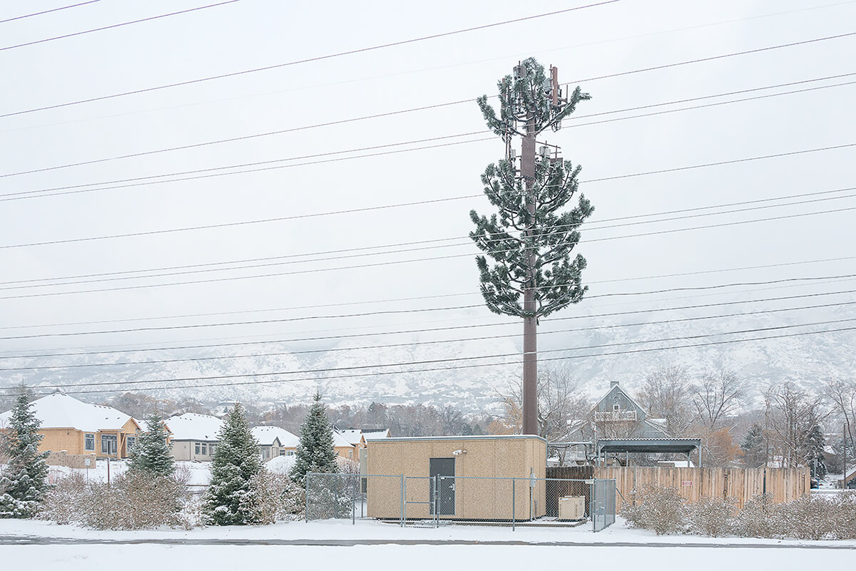 Fauxliage: Snowfall, Provo, UT<p>© Annette LeMay Burke</p>