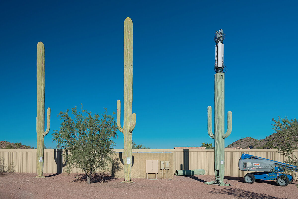 Fauxliage: Three Saguaros, Phoenix, AZ<p>© Annette LeMay Burke</p>