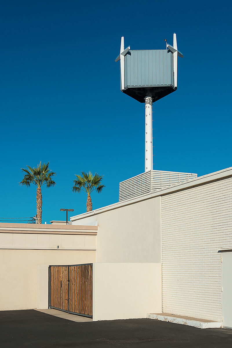 Fauxliage: Calvary Megachurch, Phoenix, AZ<p>© Annette LeMay Burke</p>