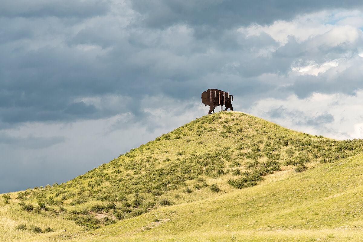 Fauxliage: Bison, Carr, CO<p>© Annette LeMay Burke</p>
